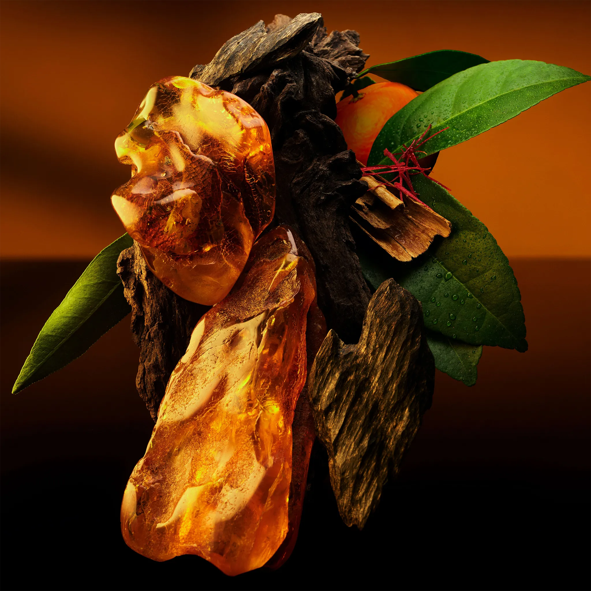 Ingredients View of Louis Vuitton Ambre Levant Eau De Parfum NVPROD7160001V